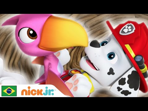 Capa de Patrulha Canina | Patrulha Canina Late com os Dinossauros | Nick Jr. em Português