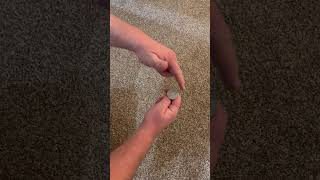 How to Flip a Coin