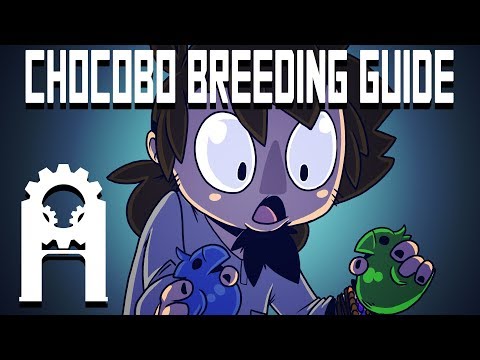 Gold Chocobo - A Breeding Guide [Final Fantasy VII]