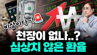 16년 만에 원화가치 최저 폭락, 대체 천장이 어디? 심상치 않은 환율 #환율 #박시동