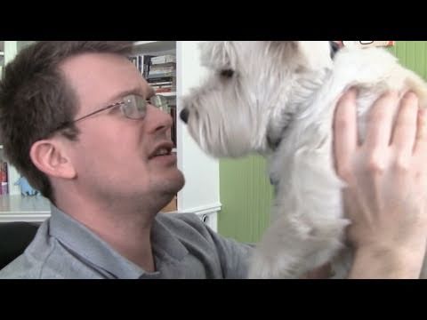 Why Does My Dog Eat Poop?