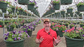 Bauman's Wholesale + New Seasons Market + fun and new calibrachoas. Se