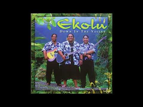 Never Let You Down - Ekolu