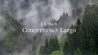 Relaxing Guitar Music - Bach's Largo (Ariso) | Relaxation, Sleep, Study, Soothing