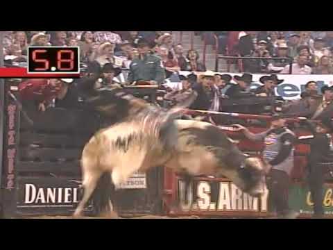 Scaredy Cat bucks Mike White - 05 PBR Finals