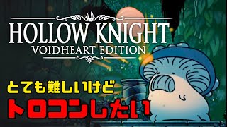 【HOLLOW KNIGHT】胞子の森 探索｜トロコンを目指して #5【ホロウナイト】