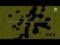 1 Billion Klasky Csupo Videos