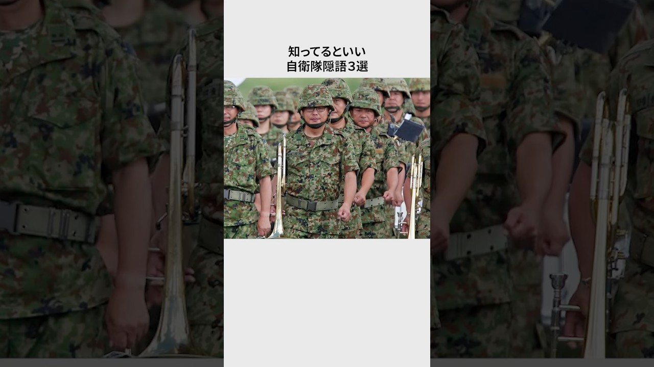 【自衛隊】災害時に秘密隠語3選#雑学 #プチ知識 #自衛隊