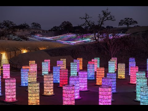 Sensorio Paso Robles  Bruce Munro: Light at Sensorio