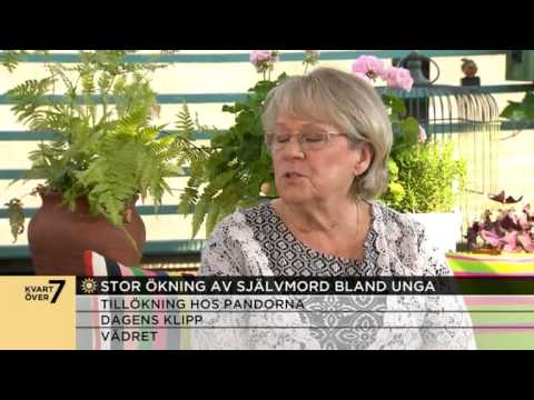 Chockerande ökning av antalet självmord bland unga - Nyhetsmorgon (TV4)