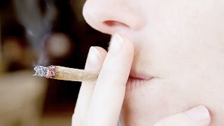 Marijuana Myths go up in Smoke!