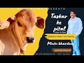 TASKAR KE PITAL Official Audio Song Sandeep Pandit Rohtakiya Mintu Bhardwaj Vijay Mehra