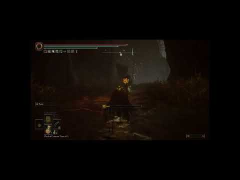 Anyway to fight the creatures in abyssal woods without parry