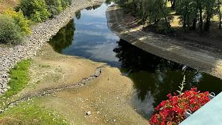 Rekord-Niedrigwasser der Donau legt in Ungarn Wrack aus dem Zweiten Weltkrieg frei