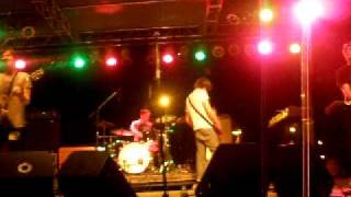 The Happiest Place on Earth - Desaparecidos - Concert for Equality