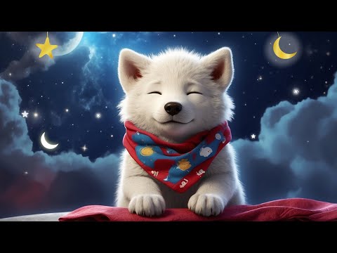 Relax In No Time video