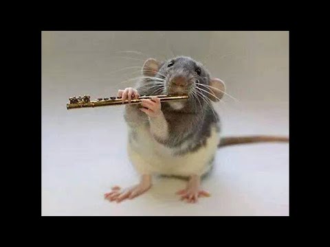 Dario D'Attis - The Good Old Days (Dub)