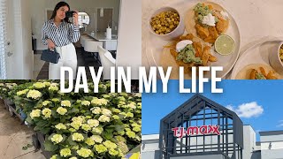 shopping and errands, new plants, tj maxx finds, new office setup, cooking chicken fajitas