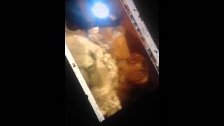 Anal rape booty gargoyle hen autopsy part 4