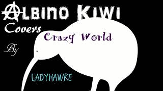 Crazy World - Ladyhawke (Acoustic Guitar Cover)