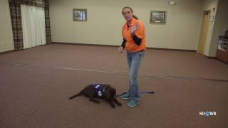 SDWR Training Nose It