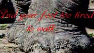 Rebecca St. James, I&#39;ll Carry You