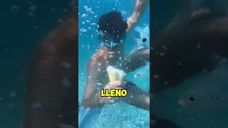 VOY a BUSCAR TIBURONES a la PLAYA y ENCUENTRO ESTO!
