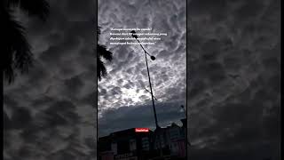 Download lagu Kenapa move on itu susah? ♦️ STATUS WA 2022 30 DETIK ♦️ #short #storywa30detik #story #statuswa mp3