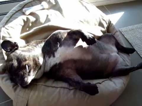 Miss CloClo en pleine méditation !