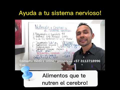 Alimentos que nutren tu cerebro