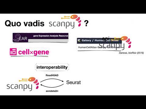 9th scanpy session - Quo vadis