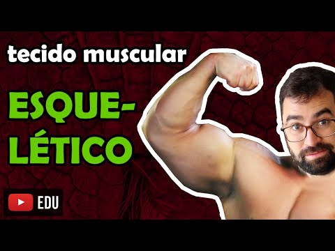 Skeletal Muscle Structure - Class 14 - Module VII: Human Histology and Physiology | Prof. Gui