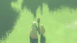 【スイッチ２で遊ぶ】色々ゲーム【のんびりTEST】カクツキはこちらの環境です(テスト配信)