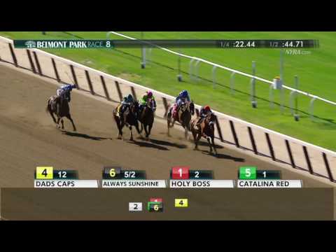 Joking - 2016 True North Stakes