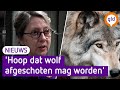 Wolf zorgt voor grote zorgen
