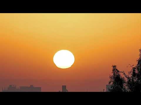 Nhịp bước hoang vu - Don Hồ