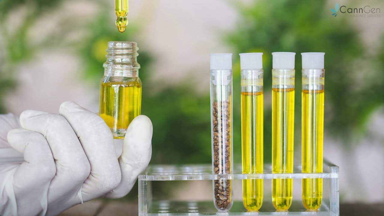 Extraction Methods For CBD Vs. THC
