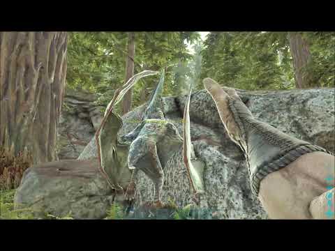 Tæmmer Pteranodon!!!! Dansk Ark [EP2]