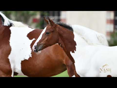 PUNK LADY DE LA CENSE