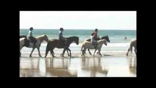 preview picture of video 'Beach Horse Riding - Druidston Haven - Nolton Stables'