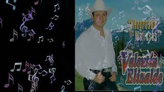 Juan Diego Cota - Valentin Elizalde, El Gallo de Oro | Regresan Los Mafiosos