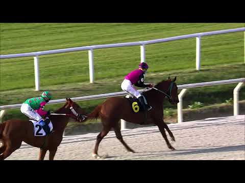 03/10/2020 – Hipodromo Maroñas – Carr 9 - HUMO BLANCO (2018)