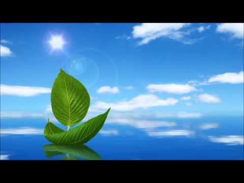 Colaj Muzica Crestina - Nicu Wagner