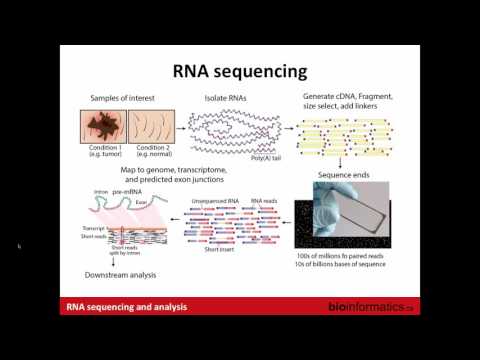 Introduction to RNA Sequencing