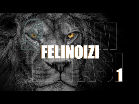 254-RO Mary, C177º P1º: FELINOIZI - Hipnoperator Extern Tamara Patrunjil metoda Grifasi