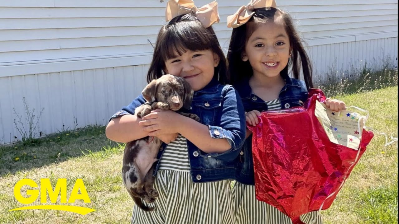 Stranger who found 4-year-old girl's balloon containing wishes gifts her a puppy l GMA thumnail