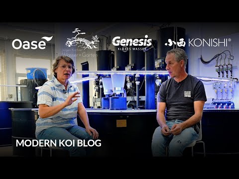 Modern Koi Blog #6236 - Can you winter with 0.2 - 0.5 mg / liter of nitrite?