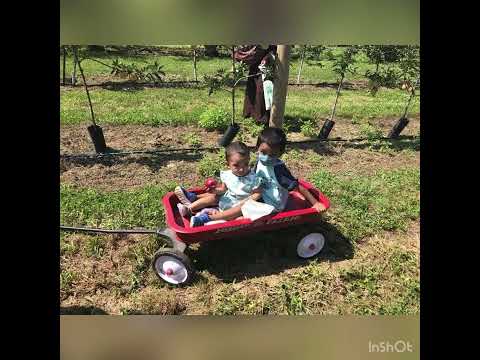 At Apple Garden - Ahnaf & Areebah