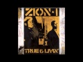 Zion I - Bird's Eye View