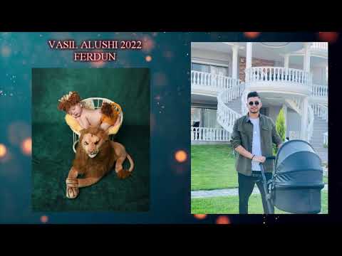 Vasil Alushi - E Ferduneske